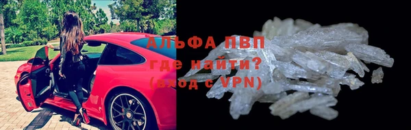 крисы Магадан
